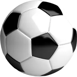 Meistertrainer Jochen Fallmann